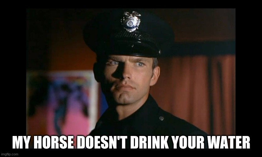 MY HORSE DOESN'T DRINK YOUR WATER | image tagged in horse | made w/ Imgflip meme maker