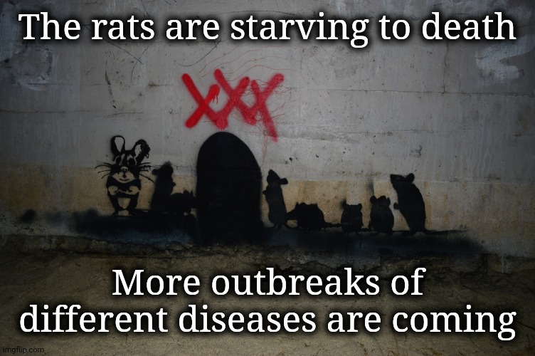 Feed the Rats | The rats are starving to death; More outbreaks of different diseases are coming | image tagged in rats,coronavirus,starving,feed me,plague | made w/ Imgflip meme maker