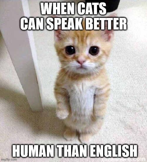 Cute Cat | WHEN CATS CAN SPEAK BETTER; HUMAN THAN ENGLISH | image tagged in memes,cute cat | made w/ Imgflip meme maker