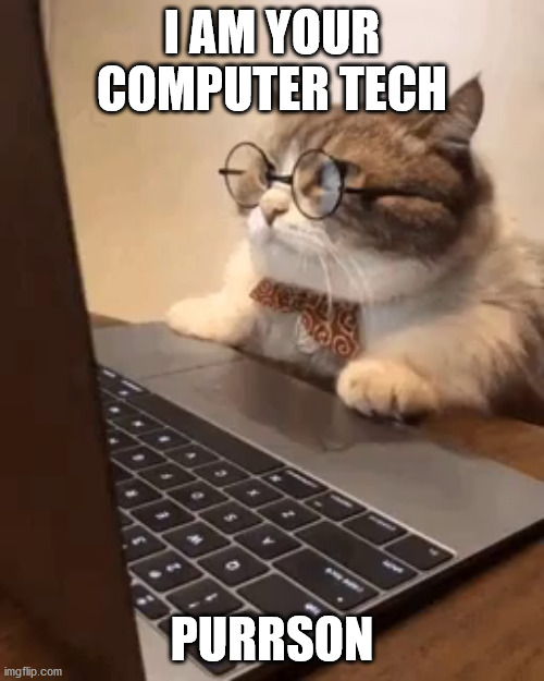 I AM YOUR COMPUTER TECH; PURRSON | image tagged in cats,memes | made w/ Imgflip meme maker