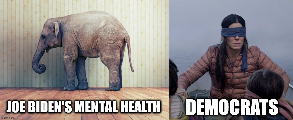 JOE BIDEN'S MENTAL HEALTH; DEMOCRATS | image tagged in memes,bird box | made w/ Imgflip meme maker