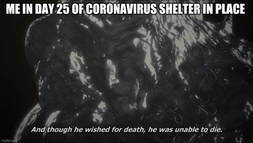 ME IN DAY 25 OF CORONAVIRUS SHELTER IN PLACE | image tagged in rip | made w/ Imgflip meme maker
