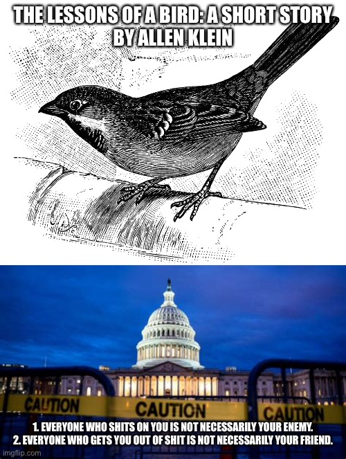 A Birds Story | THE LESSONS OF A BIRD: A SHORT STORY
BY ALLEN KLEIN; 1. EVERYONE WHO SHITS ON YOU IS NOT NECESSARILY YOUR ENEMY.
2. EVERYONE WHO GETS YOU OUT OF SHIT IS NOT NECESSARILY YOUR FRIEND. | image tagged in government,help,check | made w/ Imgflip meme maker