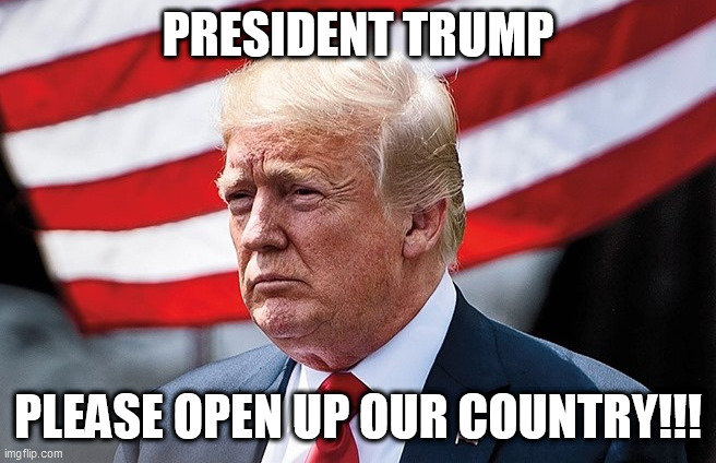 President Trump | PRESIDENT TRUMP; PLEASE OPEN UP OUR COUNTRY!!! | image tagged in trump flag,trump,economy,usa,memes,corona virus | made w/ Imgflip meme maker