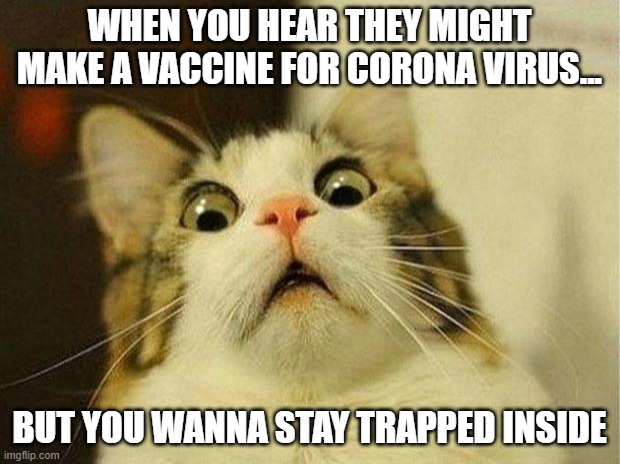 Scared Cat | WHEN YOU HEAR THEY MIGHT MAKE A VACCINE FOR CORONA VIRUS... BUT YOU WANNA STAY TRAPPED INSIDE | image tagged in memes,scared cat | made w/ Imgflip meme maker