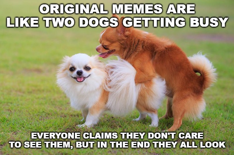 ORIGINAL MEMES ARE LIKE TWO DOGS GETTING BUSY; EVERYONE CLAIMS THEY DON'T CARE TO SEE THEM, BUT IN THE END THEY ALL LOOK | image tagged in original content only,original memes,its hump day | made w/ Imgflip meme maker