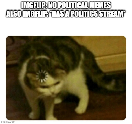 wait a sec | IMGFLIP: NO POLITICAL MEMES
ALSO IMGFLIP: *HAS A POLITICS STREAM* | image tagged in confused | made w/ Imgflip meme maker