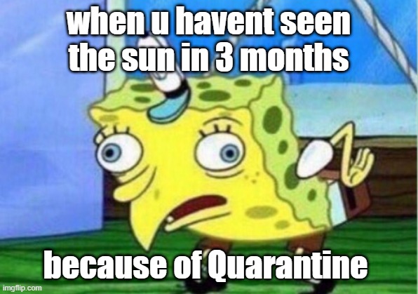 Mocking Spongebob Meme | when u havent seen the sun in 3 months; because of Quarantine | image tagged in memes,mocking spongebob | made w/ Imgflip meme maker