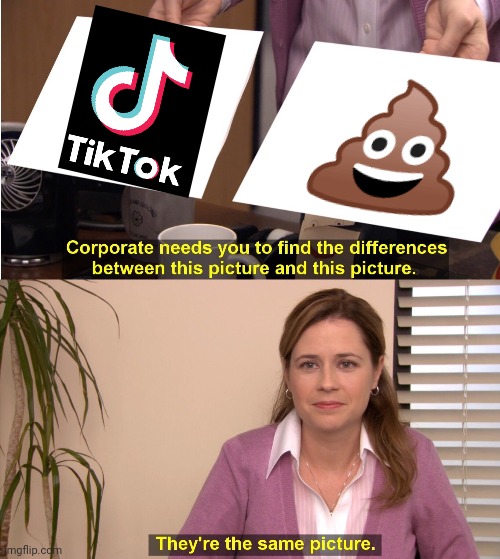 They're The Same Picture | 💩 | image tagged in memes,they're the same picture | made w/ Imgflip meme maker