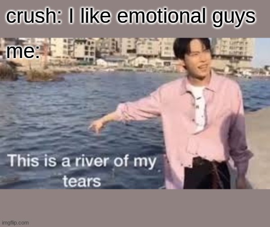 crush: I like emotional guys; me: | image tagged in river,tears,crush | made w/ Imgflip meme maker