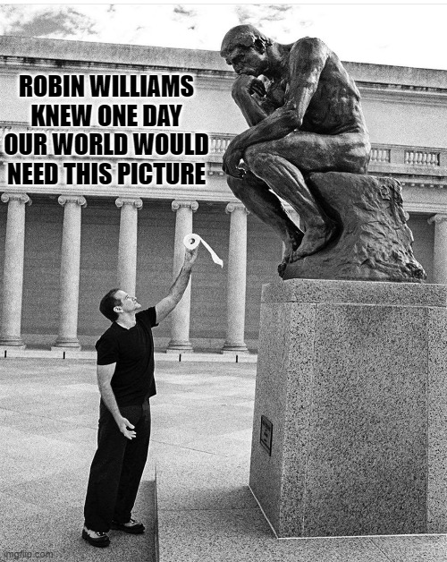 ROBIN WILLIAMS KNEW ONE DAY OUR WORLD WOULD NEED THIS PICTURE | image tagged in toilet paper | made w/ Imgflip meme maker