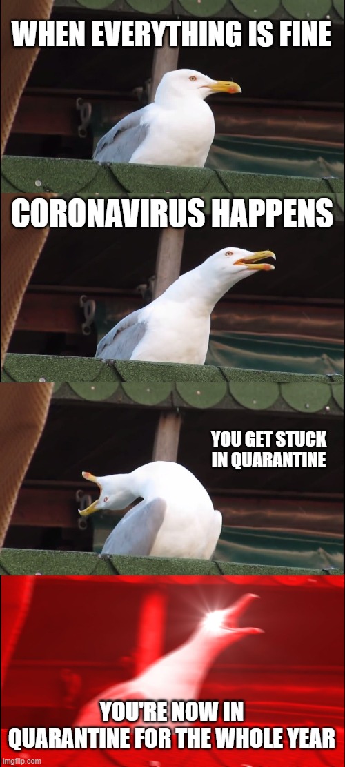 Inhaling Seagull | WHEN EVERYTHING IS FINE; CORONAVIRUS HAPPENS; YOU GET STUCK IN QUARANTINE; YOU'RE NOW IN QUARANTINE FOR THE WHOLE YEAR | image tagged in memes,inhaling seagull | made w/ Imgflip meme maker