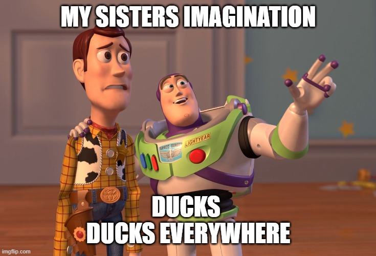 X, X Everywhere | MY SISTERS IMAGINATION; DUCKS 
DUCKS EVERYWHERE | image tagged in memes,x x everywhere | made w/ Imgflip meme maker