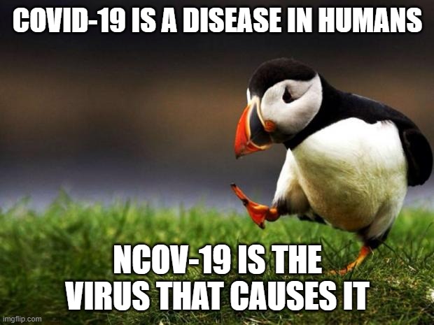 Unpopular Opinion Puffin Meme | COVID-19 IS A DISEASE IN HUMANS NCOV-19 IS THE VIRUS THAT CAUSES IT | image tagged in memes,unpopular opinion puffin | made w/ Imgflip meme maker