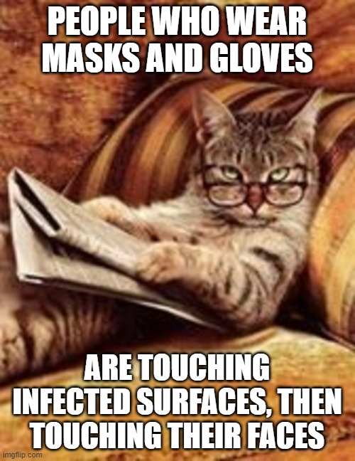 Newspaper cat | PEOPLE WHO WEAR MASKS AND GLOVES ARE TOUCHING INFECTED SURFACES, THEN TOUCHING THEIR FACES | image tagged in newspaper cat | made w/ Imgflip meme maker