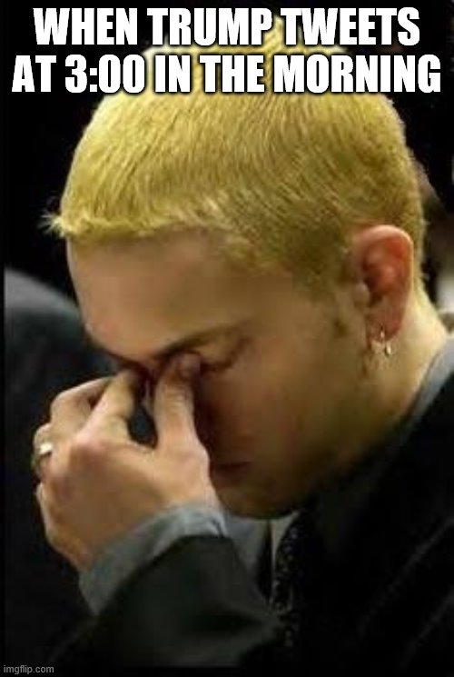 Eminem Face Palm | WHEN TRUMP TWEETS AT 3:00 IN THE MORNING | image tagged in eminem face palm | made w/ Imgflip meme maker