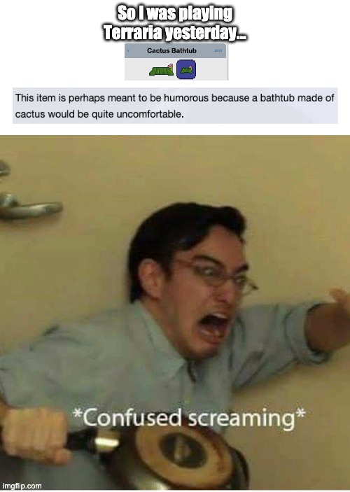 confused screaming |  So I was playing Terraria yesterday... | image tagged in confused screaming | made w/ Imgflip meme maker