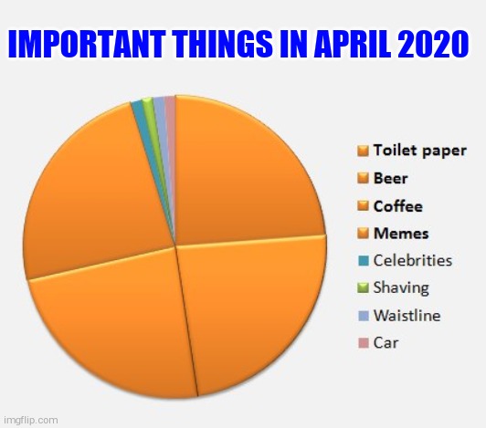 IMPORTANT THINGS IN APRIL 2020 | image tagged in pie charts | made w/ Imgflip meme maker