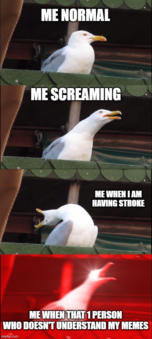 Inhaling Seagull Meme | ME NORMAL; ME SCREAMING; ME WHEN I AM HAVING STROKE; ME WHEN THAT 1 PERSON WHO DOESN'T UNDERSTAND MY MEMES | image tagged in memes,inhaling seagull | made w/ Imgflip meme maker