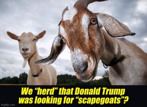 Baaaaaad Pun for Fun :) | image tagged in memes,funny memes,donald trump,scapegoats | made w/ Imgflip meme maker
