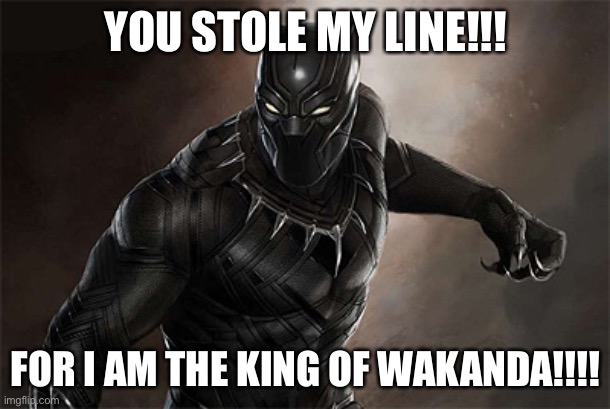 Black Panther | YOU STOLE MY LINE!!! FOR I AM THE KING OF WAKANDA!!!! | image tagged in black panther | made w/ Imgflip meme maker