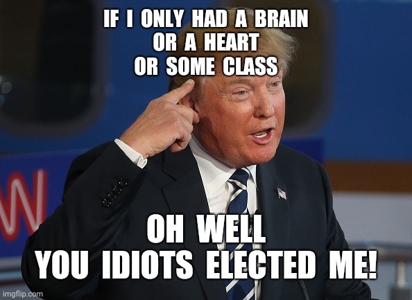 Donald Trump Pointing to His Head | IF  I  ONLY  HAD  A  BRAIN
OR  A  HEART
OR  SOME  CLASS; OH  WELL
YOU  IDIOTS  ELECTED  ME! | image tagged in donald trump pointing to his head | made w/ Imgflip meme maker