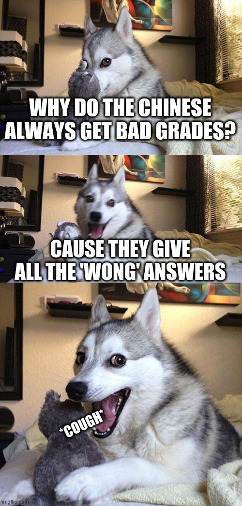 Bad Pun Dog | WHY DO THE CHINESE ALWAYS GET BAD GRADES? CAUSE THEY GIVE ALL THE 'WONG' ANSWERS; *COUGH* | image tagged in memes,bad pun dog | made w/ Imgflip meme maker