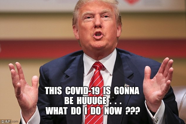 Donald Trump Huge | THIS  COVID-19  IS  GONNA 
BE  HUUUGE  .  .  .
WHAT  DO  I  DO  NOW  ??? | image tagged in donald trump huge | made w/ Imgflip meme maker