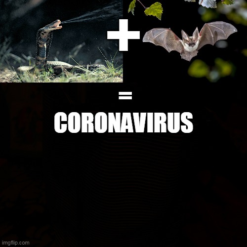 +; =; CORONAVIRUS | image tagged in coronavirus meme | made w/ Imgflip meme maker