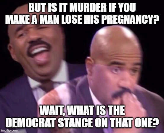 Steve Harvey Laughing Serious | BUT IS IT MURDER IF YOU MAKE A MAN LOSE HIS PREGNANCY? WAIT, WHAT IS THE DEMOCRAT STANCE ON THAT ONE? | image tagged in steve harvey laughing serious | made w/ Imgflip meme maker