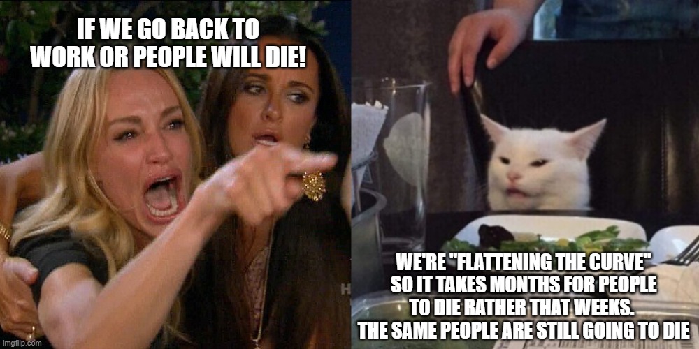 You could, of course, keep washing your hands. | IF WE GO BACK TO WORK OR PEOPLE WILL DIE! WE'RE "FLATTENING THE CURVE" SO IT TAKES MONTHS FOR PEOPLE TO DIE RATHER THAT WEEKS.  THE SAME PEOPLE ARE STILL GOING TO DIE | image tagged in woman yelling at cat,liberal logic | made w/ Imgflip meme maker