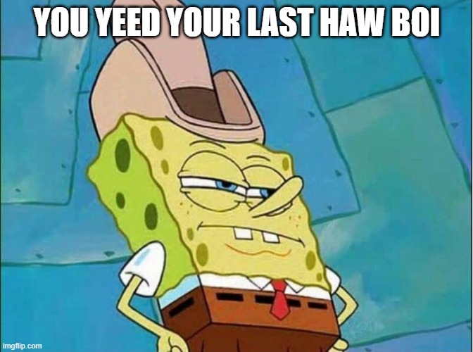 cowboy spongebob | YOU YEED YOUR LAST HAW BOI | image tagged in cowboy spongebob | made w/ Imgflip meme maker