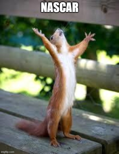 Praise Squirrel | NASCAR | image tagged in praise squirrel | made w/ Imgflip meme maker