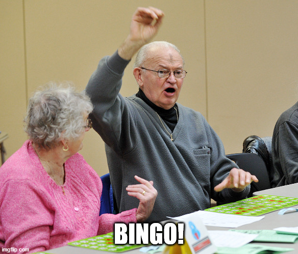 Bingo | BINGO! | image tagged in bingo | made w/ Imgflip meme maker