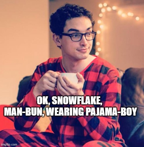 Pajama Boy | OK, SNOWFLAKE,  MAN-BUN, WEARING PAJAMA-BOY | image tagged in pajama boy | made w/ Imgflip meme maker