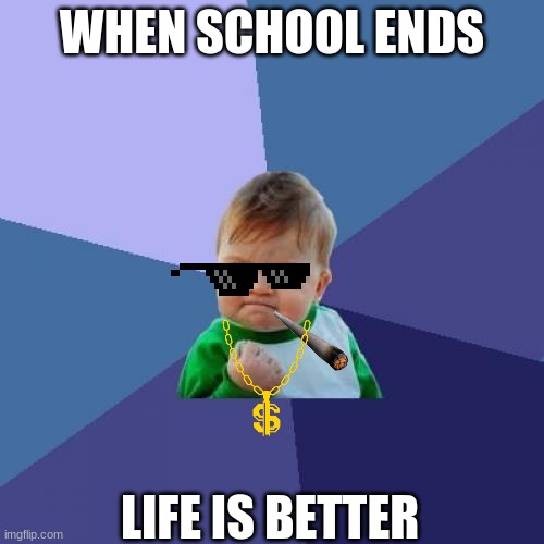Success Kid Meme | WHEN SCHOOL ENDS; LIFE IS BETTER | image tagged in memes,success kid | made w/ Imgflip meme maker