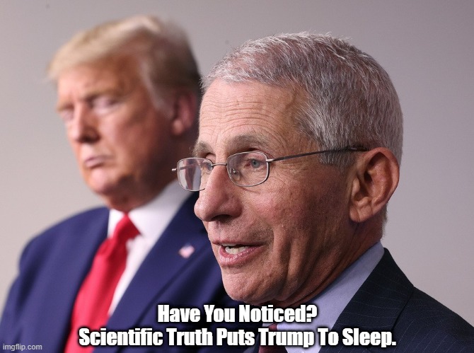 "Have You Noticed The Effect Upon Trump?" | Have You Noticed?
Scientific Truth Puts Trump To Sleep. | image tagged in fauci,trump,science,truth | made w/ Imgflip meme maker