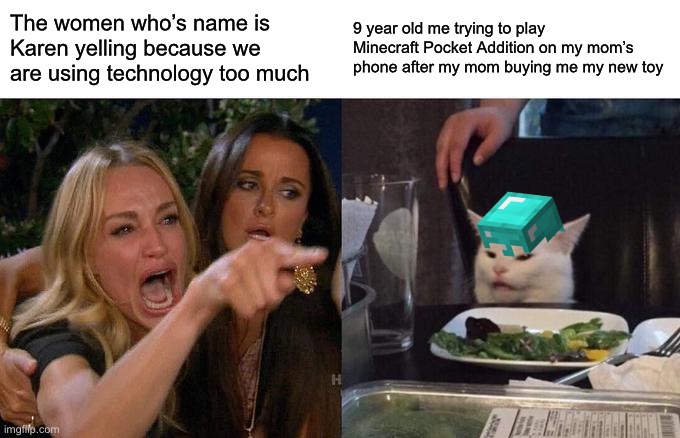 Woman Yelling At Cat | The women who’s name is Karen yelling because we are using technology too much; 9 year old me trying to play Minecraft Pocket Addition on my mom’s phone after my mom buying me my new toy | image tagged in memes,woman yelling at cat | made w/ Imgflip meme maker