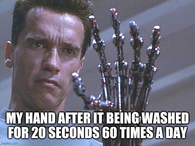 Terminator arm | MY HAND AFTER IT BEING WASHED FOR 20 SECONDS 60 TIMES A DAY | image tagged in memes,washing hands,wash your hands,funny,coronavirus | made w/ Imgflip meme maker