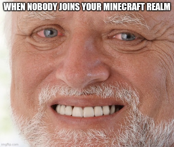 Hide the Pain Harold | WHEN NOBODY JOINS YOUR MINECRAFT REALM | image tagged in hide the pain harold | made w/ Imgflip meme maker