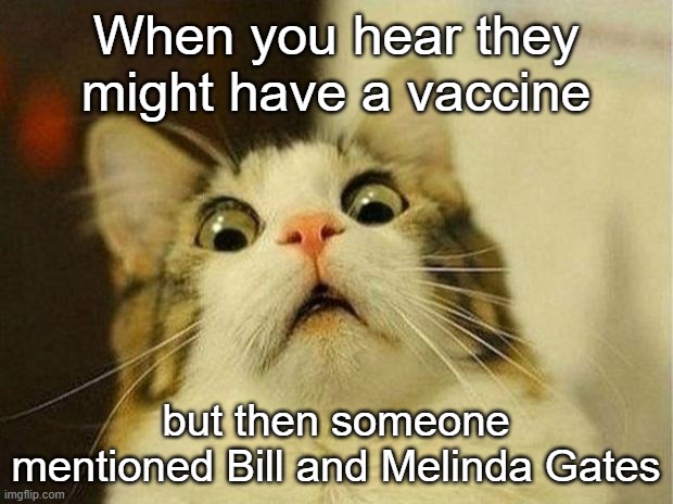 Frightful Indecision | When you hear they might have a vaccine; but then someone mentioned Bill and Melinda Gates | image tagged in memes,scared cat,bill gates,melinda gates,coronavirus,vaccine | made w/ Imgflip meme maker