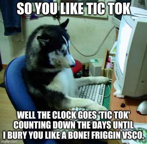 I Have No Idea What I Am Doing | SO YOU LIKE TIC TOK; WELL THE CLOCK GOES 'TIC TOK' COUNTING DOWN THE DAYS UNTIL I BURY YOU LIKE A BONE! FRIGGIN VSCO. | image tagged in memes,i have no idea what i am doing | made w/ Imgflip meme maker