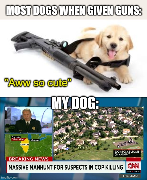 Things are gonna get ruff... | MOST DOGS WHEN GIVEN GUNS:; "Aww so cute"; MY DOG: | image tagged in dog,gun,funny,memes,funny memes,lol | made w/ Imgflip meme maker