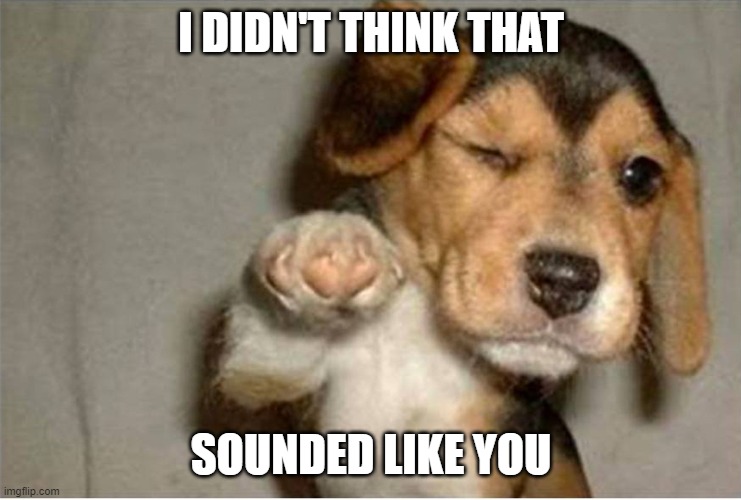 Dog pointing | I DIDN'T THINK THAT SOUNDED LIKE YOU | image tagged in dog pointing | made w/ Imgflip meme maker