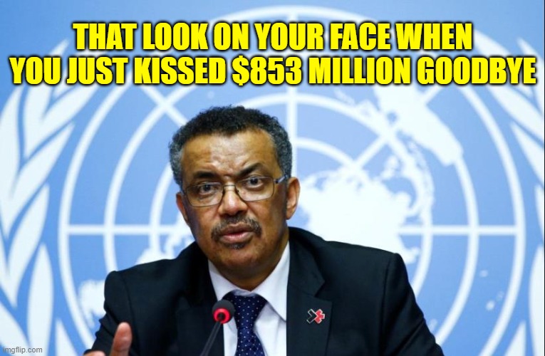 Goodbye, Felicia. Your Communist masters won't be pleased. | THAT LOOK ON YOUR FACE WHEN YOU JUST KISSED $853 MILLION GOODBYE | image tagged in tedros the bullshit artist | made w/ Imgflip meme maker