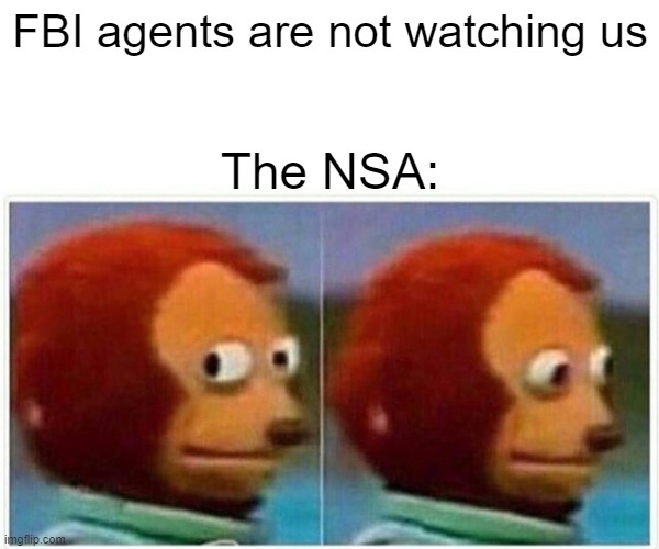 Monkey Puppet | FBI agents are not watching us; The NSA: | image tagged in memes,monkey puppet | made w/ Imgflip meme maker
