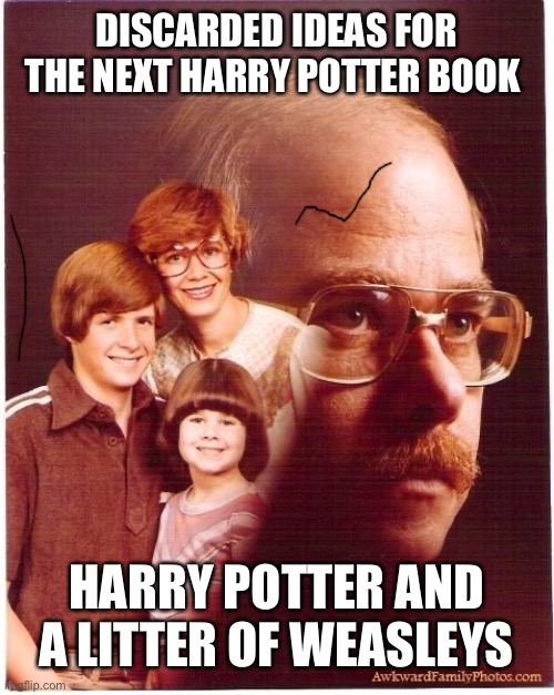 Vengeance Dad Meme | DISCARDED IDEAS FOR THE NEXT HARRY POTTER BOOK; HARRY POTTER AND A LITTER OF WEASLEYS | image tagged in memes,vengeance dad | made w/ Imgflip meme maker