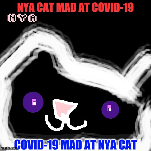 nya ny covid-die | NYA CAT MAD AT COVID-19; COVID-19 MAD AT NYA CAT | image tagged in my life | made w/ Imgflip meme maker