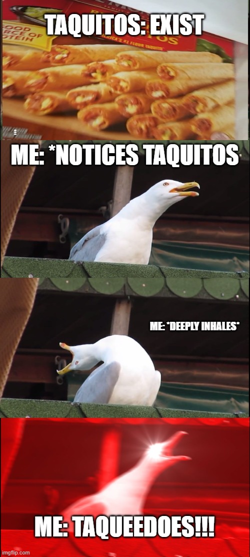 Inhaling Seagull Meme | TAQUITOS: EXIST; ME: *NOTICES TAQUITOS; ME: *DEEPLY INHALES*; ME: TAQUEEDOES!!! | image tagged in memes,inhaling seagull | made w/ Imgflip meme maker