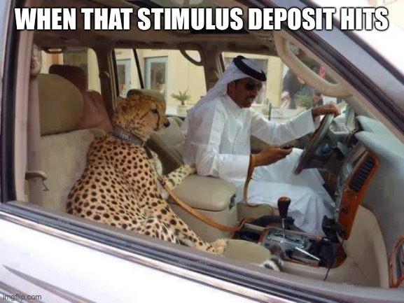 WHEN THAT STIMULUS DEPOSIT HITS | image tagged in stimulus,cheetah,pets,tiger king,flex | made w/ Imgflip meme maker